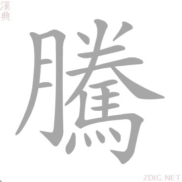 騰字|騰的解释